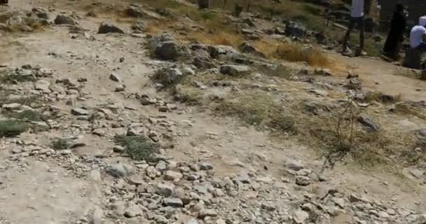 À travers le champ, le long des chemins de pierre, les touristes se déplacent vers l'ancien amphithéâtre de la ville de Hierapolis — Video