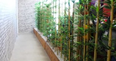 Yeşil bambu duvarıyla süslenmiş bir dükkan.