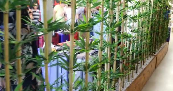 За стеной из бамбукового дерева откройте магазин — стоковое видео