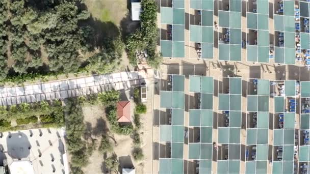 Plage au bord de la mer avec parasols — Video