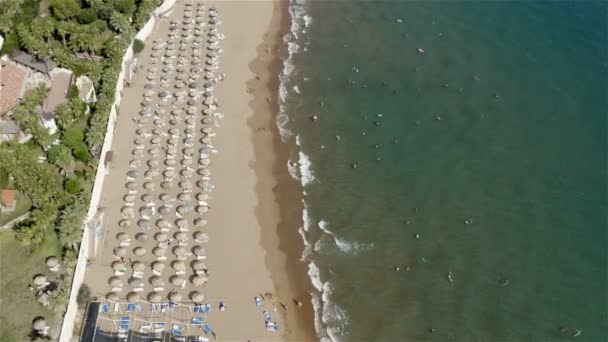 Tumbonas de turistas bajo sombrillas y refugios del sol en la costa arenosa del mar — Vídeos de Stock