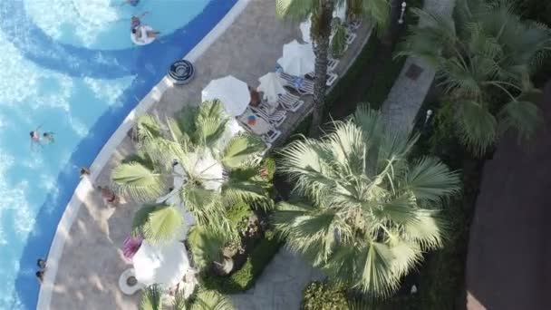 En el territorio del hotel a lo largo de la piscina bordeada de senderos y palmeras crecen — Vídeo de stock