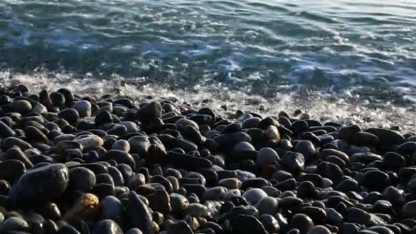 Красивий морський кам'яний пляж на сонці — стокове відео