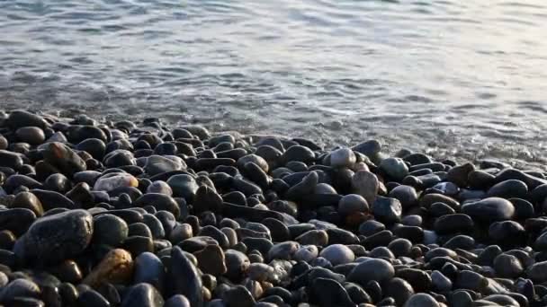 Велика галька на пляжі гладка і чиста від морських хвиль — стокове відео