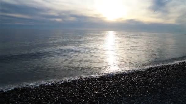 잔잔하고 고요 한 바다, 해변의 따뜻 한 저녁 — 비디오