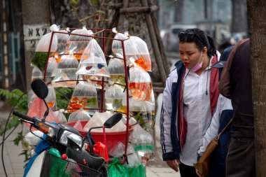 Hanoi, Vietnam - 16 Mart 2018: bir motosiklet üzerinde plastik torbalarda Balık satan Lady