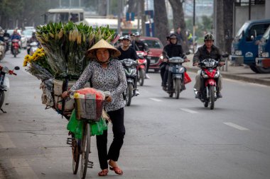Hanoi, Vietnam - 16 Mart 2018: Hanoi'nın ticareti yollarında bisiklet üzerinde çiçek satış üst düzey Bayan