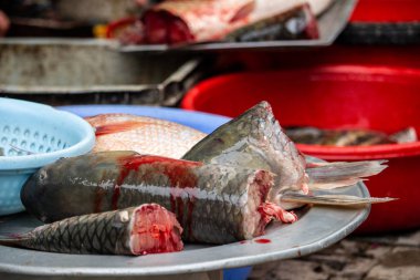 Hanoi, Vietnam - 16 Mart 2018: Hanoi yerel bir sokak pazarında maruz kesim kanlı balık