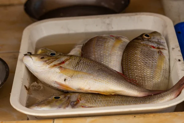 地元の魚市場で不健康な状況で公開されている鯛の上を飛んで島ピピ島ドン 2018 — ストック写真