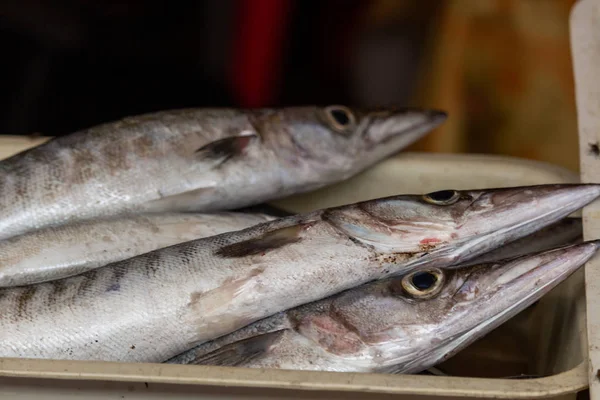 ピピ島ドン 2018 魚魚市場で不健康な状況で公開 — ストック写真