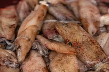 Koh Phi Phi Don, Tayland - 7 Mayıs 2018: yerel balık pazarında sağlıksız koşullarda maruz mürekkep üzerinde uçan uçar