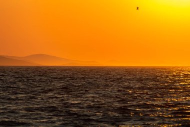 Zadar, Hırvatistan - 24 Temmuz 2018: Sunset Zadar görülen Dalmaçyalı Ugljan Island üzerinde