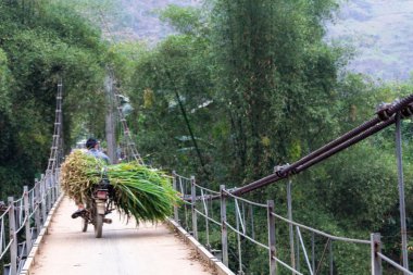 Ha Giang, Vietnam - 17 Mart 2018: bitkiler counryside Kuzey Vietnam bir motosiklet üzerinde taşıma Hmong etnik azınlık ile ilgili genç tarım işçisi