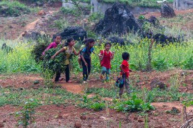 Ha Giang, Vietnam - 17 Mart 2018: bir alanda çalışan Hmong etnik azınlık çocuklar. Çocuk İşçiliği Vietnam çok yaygındır