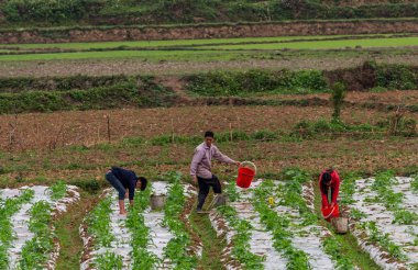 Ha Giang, Vietnam - 17 Mart 2018: Vietnam kırsal alanlarında çalışan insanların Grup