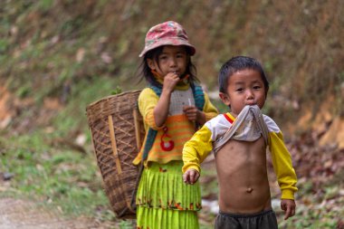 Ha Giang, Vietnam - 17 Mart 2018: çocuk Kuzey Vietnam dağlarında tarımsal çalışmalar yapmak Hmong göçebe nüfus