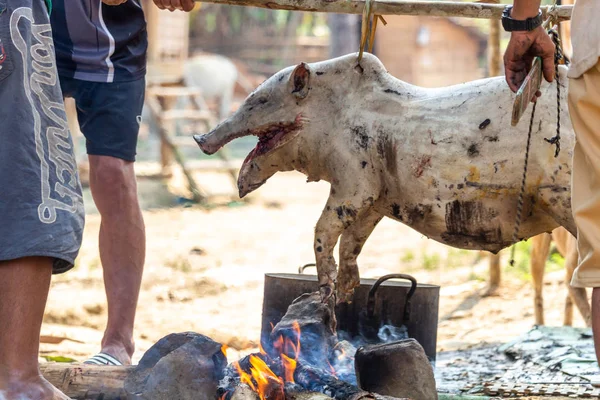 Bachong Nay Laos Aprile 2018 Intera Carne Maiale Grigliata Una — Foto Stock