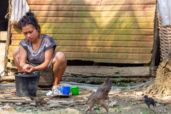 Bachong Nay,, Laos - 10 Nisan 2018: Laos bir uzak köy tavuk çevrili kendi bambu evin önünde el yıkama yapıyor yerel kadın