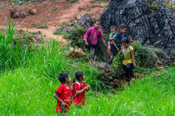Giang Vietnam Mars 2018 Enfants Minorité Ethnique Hmong Travaillant Dans — Photo
