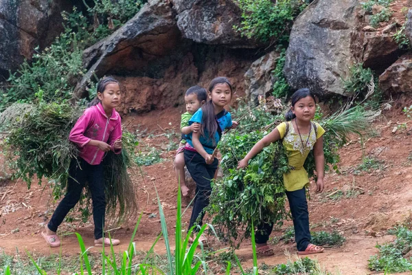 Giang Βιετνάμ Μαρτίου 2018 Παιδιά Από Hmong Εθνοτική Μειονότητα Που — Φωτογραφία Αρχείου