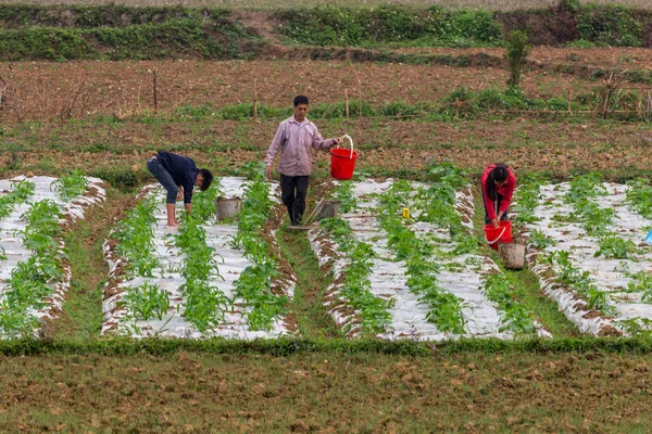 Ha Giang, Vietnam - 17 Mart 2018: Vietnam kırsal alanlarında çalışan insanların Grup