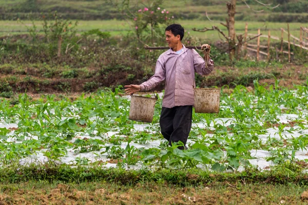 Ha Giang, Vietnam - 17 Mart 2018: etnik azınlığı köylü Vietnamca kırsal alanlarında yürüyüş