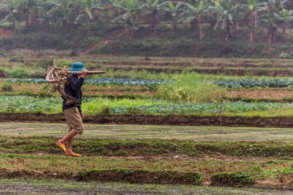 Ha Giang, Vietnam - 17 Mart 2018: tarım işçisi bir alan Kuzey Vietnam arazi yürürken