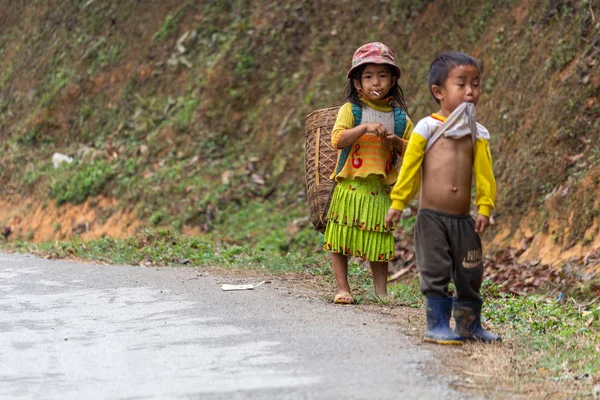Ha Giang, Vietnam - 17 Mart 2018: çocuk Kuzey Vietnam dağlarında tarımsal çalışmalar yapmak Hmong göçebe nüfus
