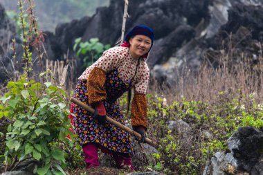 Ha Giang, Vietnam - 17 Mart 2018: Kuzey Vietnam kireçtaşı dağlarda çalışma Hmong etnik azınlık bir kadından