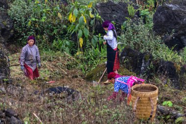 Ha Giang, Vietnam - 17 Mart 2018: Kuzey Vietnam granit dağlarda çalışma Hmong etnik azınlık ile ilgili kadınlar