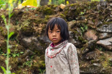 Ha Giang, Vietnam - 18 Mart 2018: çocuk için Kuzey Vietnam dağlarında tarımsal çalışmalar yapmak Hmong etnik azınlık. Çocuk İşçiliği Güneydoğu Asya'da yaygındır