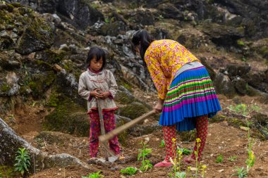 Ha Giang, Vietnam - 18 Mart 2018: Kuzey Vietnam dağlarında tarımsal çalışmalar yapmak Hmong etnik azınlık çocuklar. Çocuk İşçiliği Güneydoğu Asya'da yaygındır