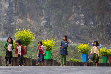 Ha Giang, Vietnam - 18 Mart 2018: Kuzey Vietnam dağlarda çiçek satan Hmong etnik azınlık çocuklar. Çocuk İşçiliği Güneydoğu Asya'da yaygındır