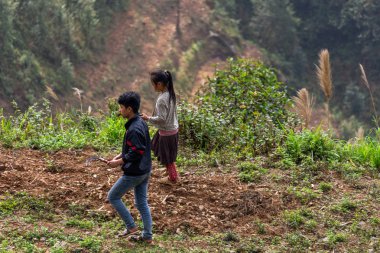 Ha Giang, Vietnam - 18 Mart 2018: Kuzey Vietnam dağlarında alanlarında çalışan genç insanlar