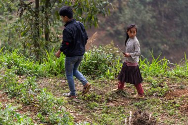 Ha Giang, Vietnam - 18 Mart 2018: Kuzey Vietnam dağlarında alanlarında çalışan genç insanlar