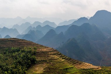 Ha Giang, Vietnam - 18 Mart 2018: çevrili tepeleri ve Vietnam sisli dağlar doğal pirinç terasları