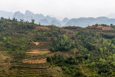 Ha Giang, Vietnam - 18 Mart 2018: çevrili tepeleri ve Vietnam sisli dağlar doğal pirinç terasları