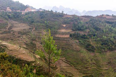 Ha Giang, Vietnam - 18 Mart 2018: çevrili tepeleri ve Vietnam sisli dağlar doğal pirinç terasları