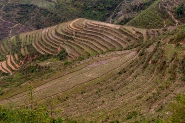Ha Giang, Vietnam - 18 Mart 2018: Kuzey Vietnam dağlarında doğal pirinç terasları