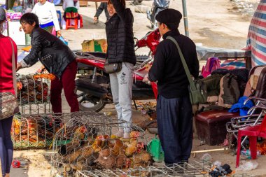 Ha Giang, Vietnam - 18 Mart 2018: hauls Dong Van Pazar pazarı Satılık tavuk