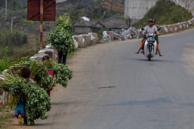 Ha Giang, Vietnam - 18 Mart 2018: Kuzey Vietnam bir yolda bitkilerin büyük yükleri taşıma çocuklu aile. Çocuk İşçiliği kırsal Asya'da çok yaygındır