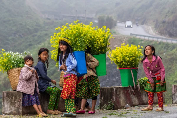 Ha Giang, Vietnam - 18 Mart 2018: Kuzey Vietnam dağlarda çiçek satan Hmong etnik azınlık çocuklar. Çocuk İşçiliği Güneydoğu Asya'da yaygındır