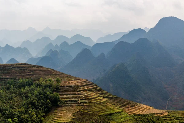 Giang Vietnam March 2018 Scenic Rice Terraces Surrounded Hills Foggy — Stock Photo, Image