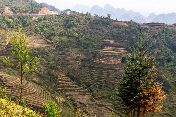 Ha Giang, Vietnam - 18 Mart 2018: Kuzey Vietnam dağlarında doğal pirinç terasları