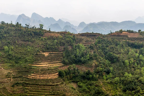 Ha Giang, Vietnam - 18 Mart 2018: çevrili tepeleri ve Vietnam sisli dağlar doğal pirinç terasları