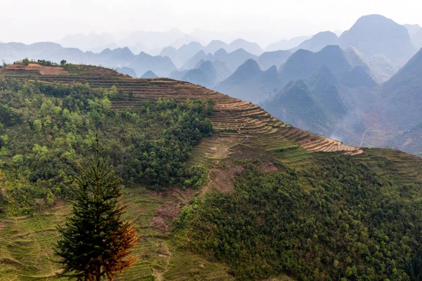 哈里江 2018年3月18日 风景秀丽的米梯田在越南被山和雾的山围拢 — 图库照片