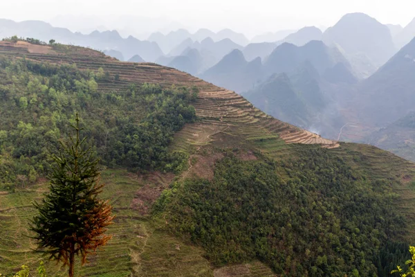 Giang Vietnã Março 2018 Terraços Panorâmicos Arroz Cercados Por Colinas — Fotografia de Stock