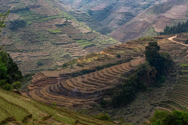 Ha Giang, Vietnam - 18 Mart 2018: doğal Vadisi pirinç dolu Teras Vietnam ve Çin arasındaki sınırda