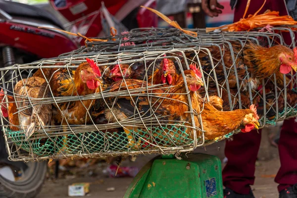 Dong Van, Vietnam - 18 Mart 2018: Hauls Pazar Dong Van Satılık tavuk pazarı
