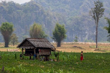 Thakhek, Laos - 20 Nisan 2018: Adam dağlar ve Güney Laos uzak bir bölgede yeşil bitki örtüsü ile çevrili bir rustik ahşap evin önünde